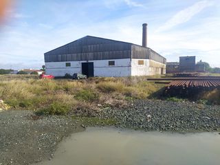 Bâtiment à usage industriel à Avenida de Sevilla