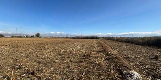 Finca rústica  Polígono polígono