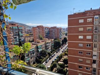Pis a Calle Alejandro Dumas