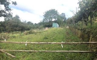 Propriété à Camino DE LOS CIERROS-CALDONES