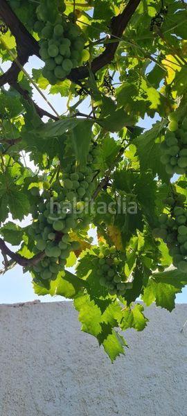 Foto bb1131fc-3606-4cbd-8e95-e09c1c0247bb. Maison dans Cúllar