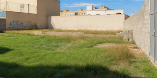 Fondo rustico  Calle ejido