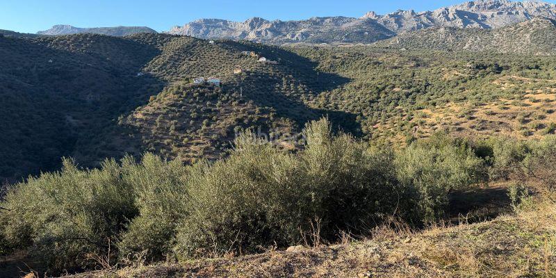 Foto 7a478d95-2854-4706-8de0-e1805a337bde. Masía en Riogordo