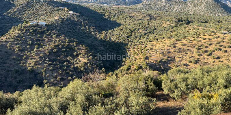 Foto d61c07ef-ef76-4ac1-85fb-874d8bc500d8. Masía en Riogordo