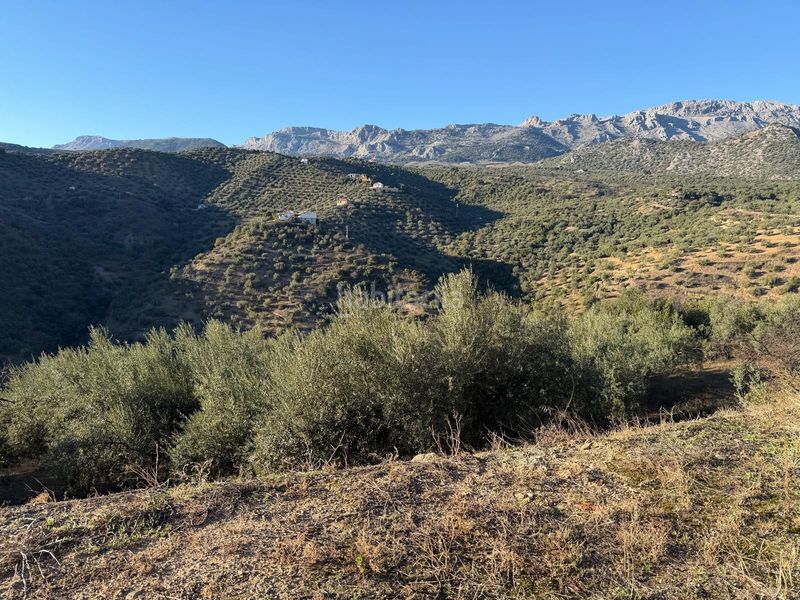 Foto d87791bc-b242-4990-b134-1928447458f2. Masia amb aparcament a Riogordo