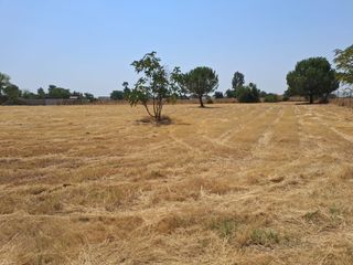 Finca rústica a Urbanización LA CELADA