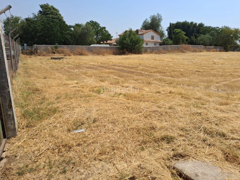 Foto 3ee3c0a6-d74d-432f-906d-f6d2b6b34557. Finca rústica a Carmona