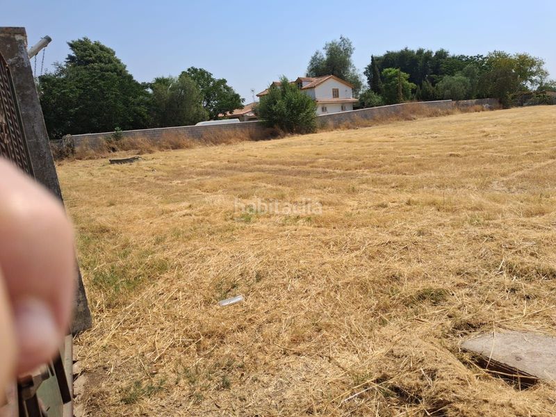 Foto 489f95e2-1807-413c-9ac8-e21e171ab547. Finca rústica a Carmona