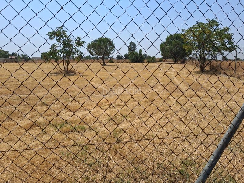 Foto 535942cd-ad60-4a88-9321-9e50e7429813. Finca rústica a Carmona