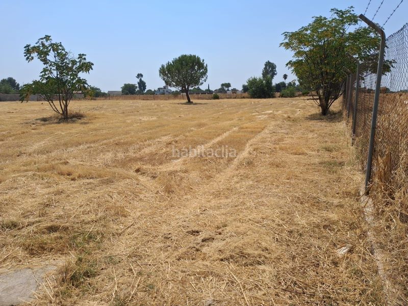 Foto 5752f8bc-e1a6-4d28-924f-819906736825. Finca rústica a Carmona