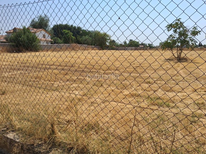 Foto 8277805d-d432-4114-9b1f-74e56811faf5. Finca rústica a Carmona