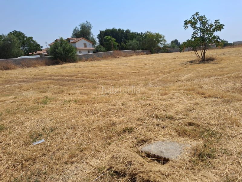 Foto 86723e51-4548-407d-b9a6-a30ea0a2c368. Finca rústica a Carmona