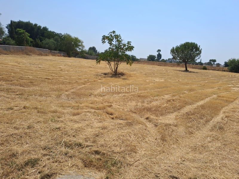 Foto d978c079-9067-467b-9b11-bdbd2fd13998. Finca rústica a Carmona