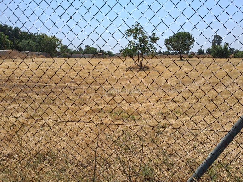 Foto e50e06bb-bcb9-4ae3-afb9-f3640a5ce073. Finca rústica a Carmona