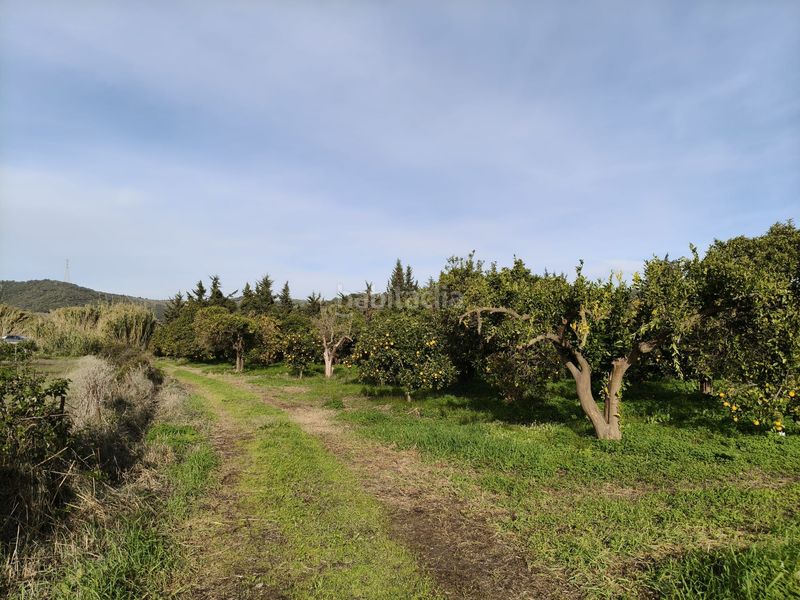 Foto 5a3886e8-d165-40a8-b775-079fd87e8f23. Finca rústica en San Martín del Tesorillo
