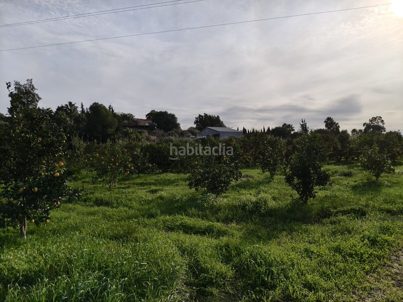 Foto 8425881c-53da-49e9-9968-d5835c22056e. Finca rústica en San Martín del Tesorillo