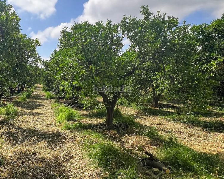 Foto e56d777a-d7a4-4c49-88d0-6079cb3b273b. Finca rústica en San Martín del Tesorillo