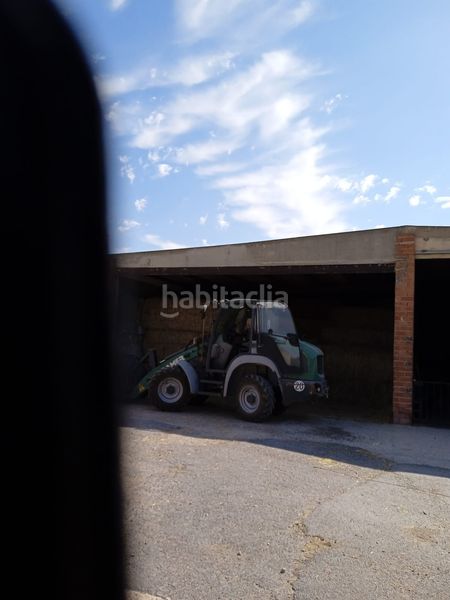 Foto af15bf0f-3f90-44d3-acbe-941a7f6b2ef7. Finca rústica en Fontcalent Alicante