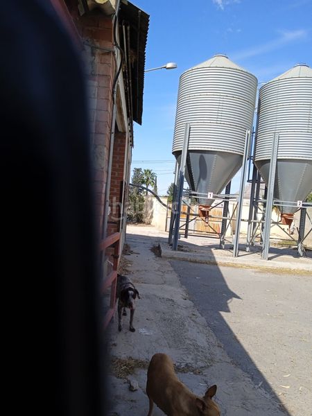 Foto d5bbf8f9-f6ef-418c-9589-f785668b7973. Finca rústica en Fontcalent Alicante