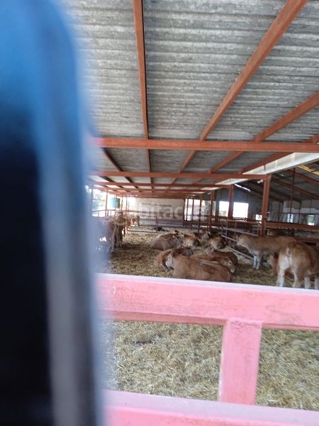Foto fc92450b-8e01-4b64-93fe-156b95d6352e. Finca rústica en Fontcalent Alicante