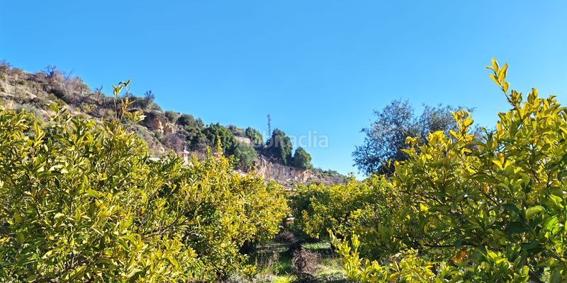 Foto ef1239e0-573b-4d74-8b62-0c45625994e7. Terreny residencial a Albuñuelas