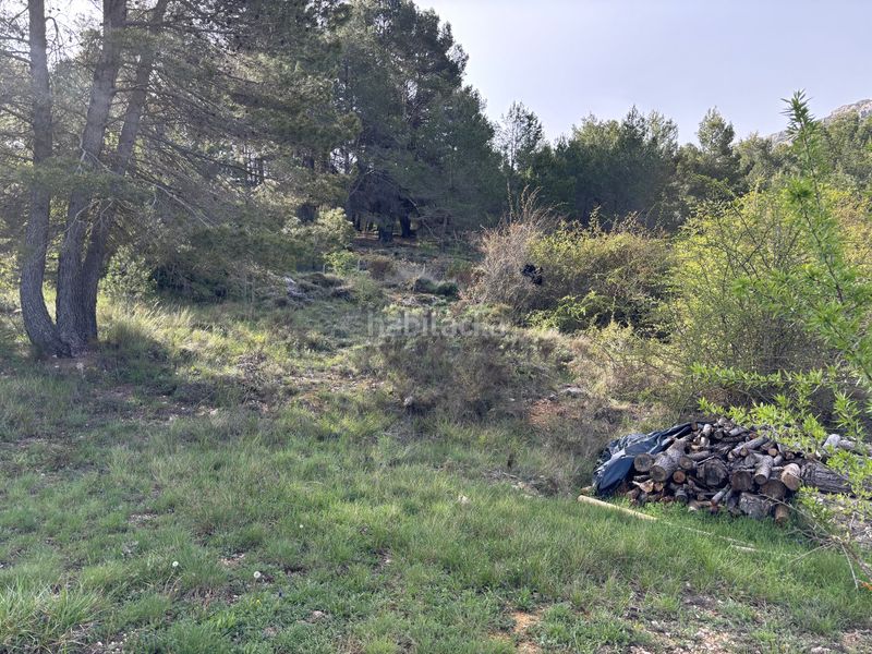 Foto 9e2b4adc-8510-4ff7-befb-bde55654f5a9. Masia a Confrides