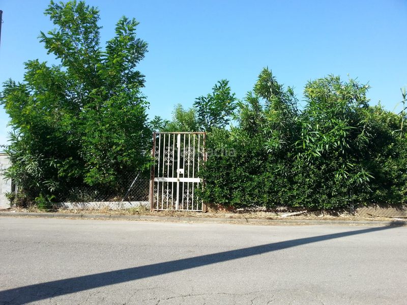 Foto 94f47fd1-b7a7-4669-ba14-2dfef6cdd495. Terreny residencial a Can Massuet del Far Dosrius