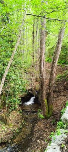 Foto 8c523947-efbb-42ed-bdaa-b20e53612e16. Casa a Candelario