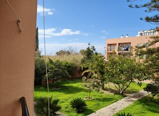 Pis  Paseo terraza