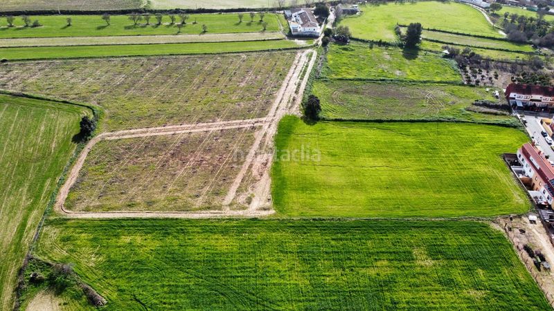Foto e32a61f3-a75d-43e4-b33c-ee412d72a23c. Finca rústica a Carrión de los Céspedes