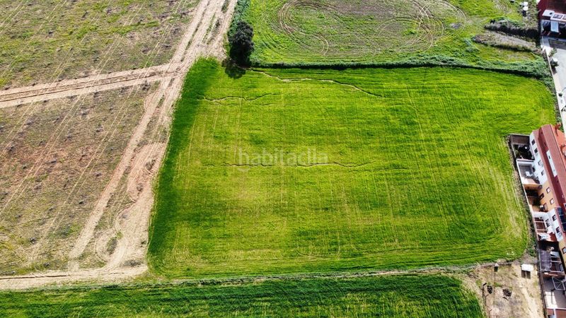 Foto fa15e08c-92ab-4b7e-9238-1351f534b704. Finca rústica a Carrión de los Céspedes
