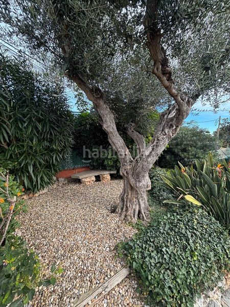 Foto 45e4ad95-562f-412f-9401-c0a3a5ae48e3. Haus mit parking in Santa Susanna