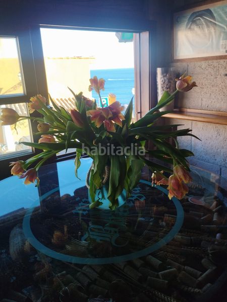 Foto 415bc067-5954-4d87-8106-015da1f10603. Local comercial a Peguera Calvià