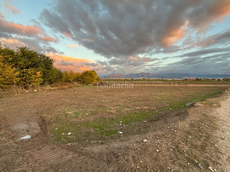 Foto 78b2a8ba-402a-4869-a284-bed0ae007574. Finca rústica a Purchil Vegas del Genil