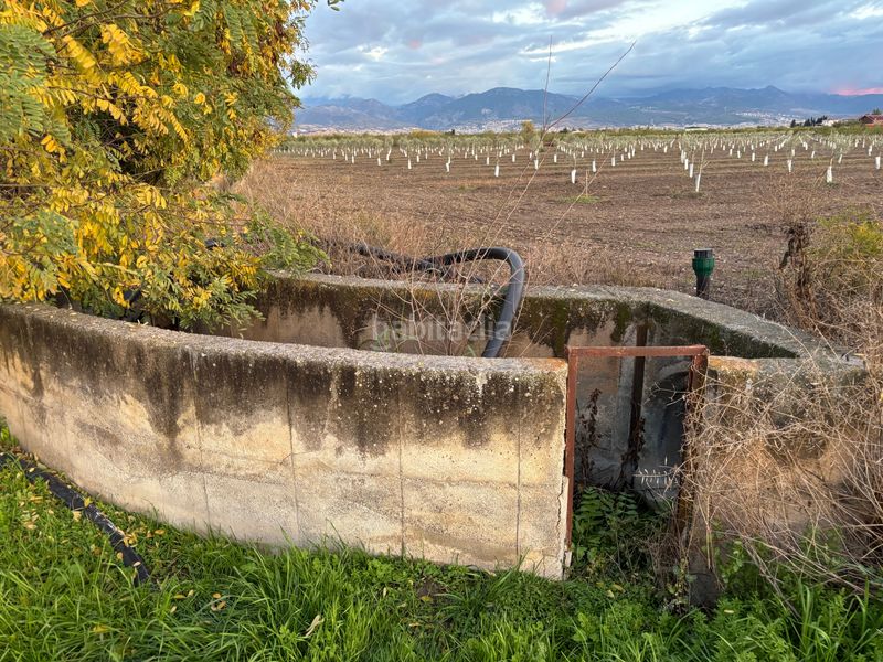 Foto a7752a7e-9fe8-4d6c-b20a-d3f8562e9292. Finca rústica a Purchil Vegas del Genil