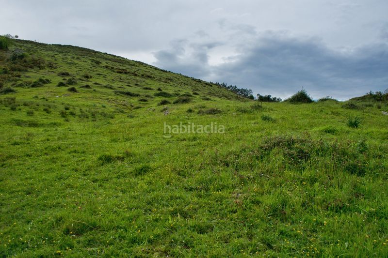 Foto c0b6b08c-06a2-4387-8ba3-1af8f129da02. Finca rústica a San Vicente de la Barquera