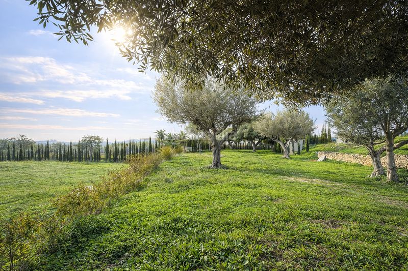 Foto a8a22269-603e-4434-82e8-74cbb3211399. Finca rústica a Benissa pueblo Benissa
