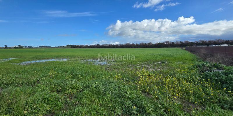 Foto 0699a7b5-0abc-4282-b3b6-d9a5aff83669. Fondo rustico in Chipiona norte Chipiona
