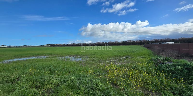 Foto 5a0abab2-7cbc-4098-8781-2064ace166a1. Fondo rustico in Chipiona norte Chipiona