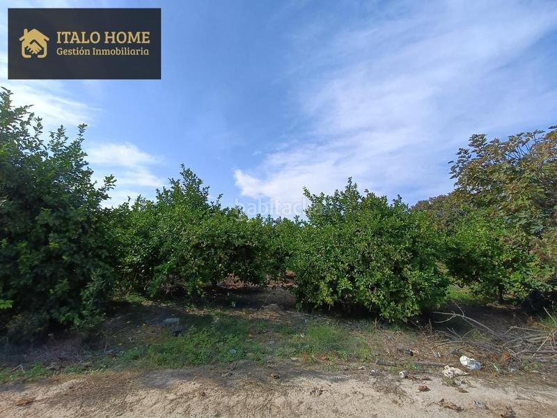 Foto f2b502e9-9a03-4d85-9647-cc1068e08f6a. Terreny residencial a Santa Cruz Murcia