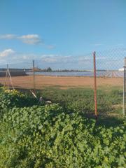 Finca rústica a Carretera alhama 55. Estupendo terreno de regadío a 3 minutos de fuente alamo