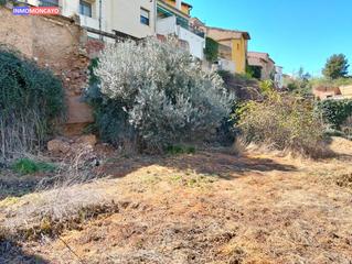 Finca rústica a Tarazona. Se vende huerto en san miguel