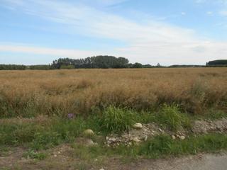 Masia a Tarazona. En venta 4118 m2 de finca en cancellada