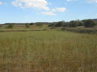 Masia a Tarazona. Venta de finca en romadera