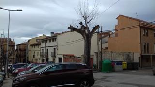 Terreny residencial a Tarazona. Se vende solar en san miguel
