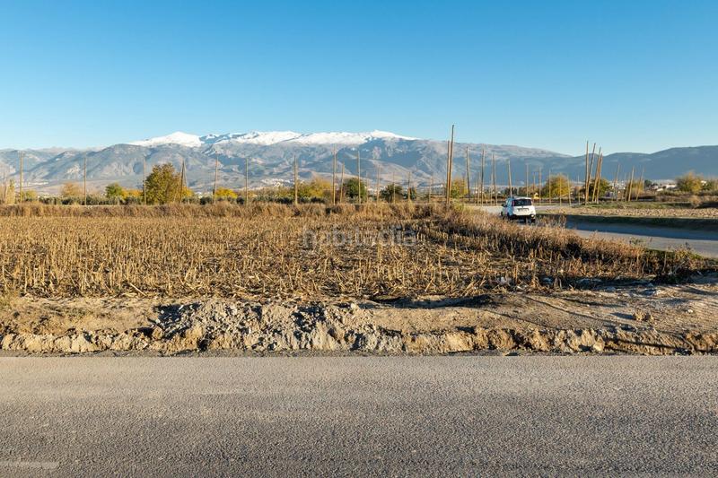 Foto c3ec2407-22d4-4e52-99d4-8cb87679e5a0. Fabrikhalle in ue-11 1 in Las Flores - Huerta Gabias (Las)