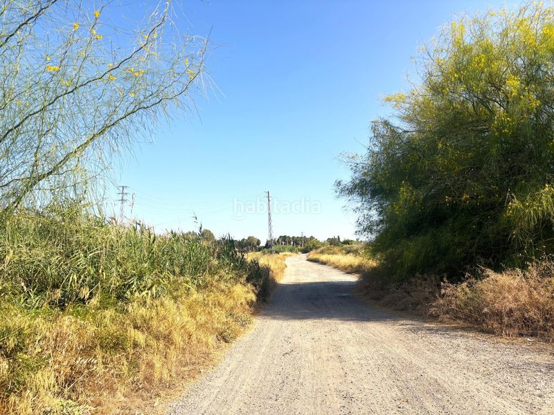 Foto a339c42d-a692-4905-8e80-6b0102c44336. Finca rústica a Santiponce