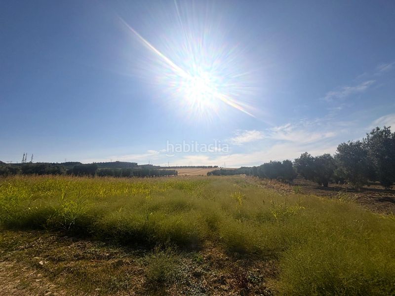 Foto 4aed3175-30d4-4710-9c1a-625ad1da0ba8. Finca rústica a Valencina de la Concepción