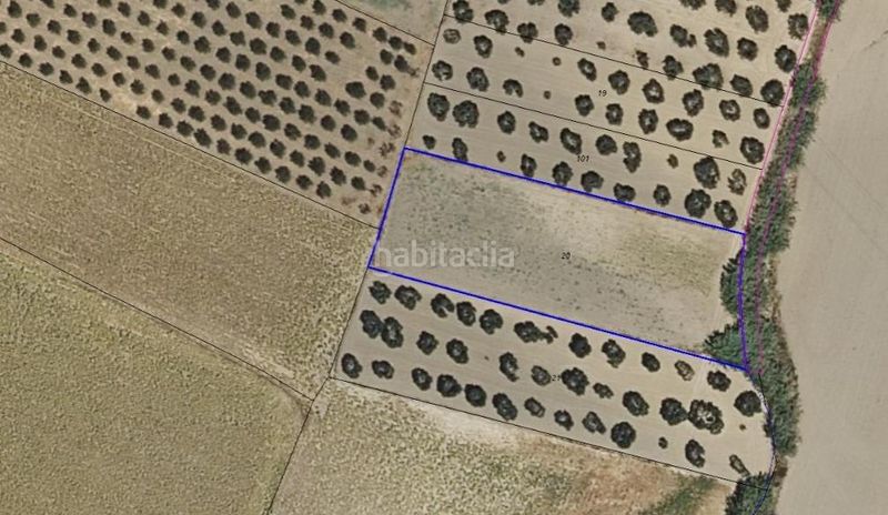 Foto 55be0a7c-3ba3-4608-89a1-f2e6de8eba19. Finca rústica a Valencina de la Concepción
