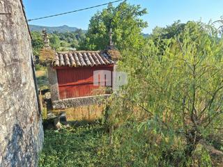 Country house  Lugar picornio